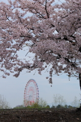 遊び心