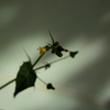 風・・・・