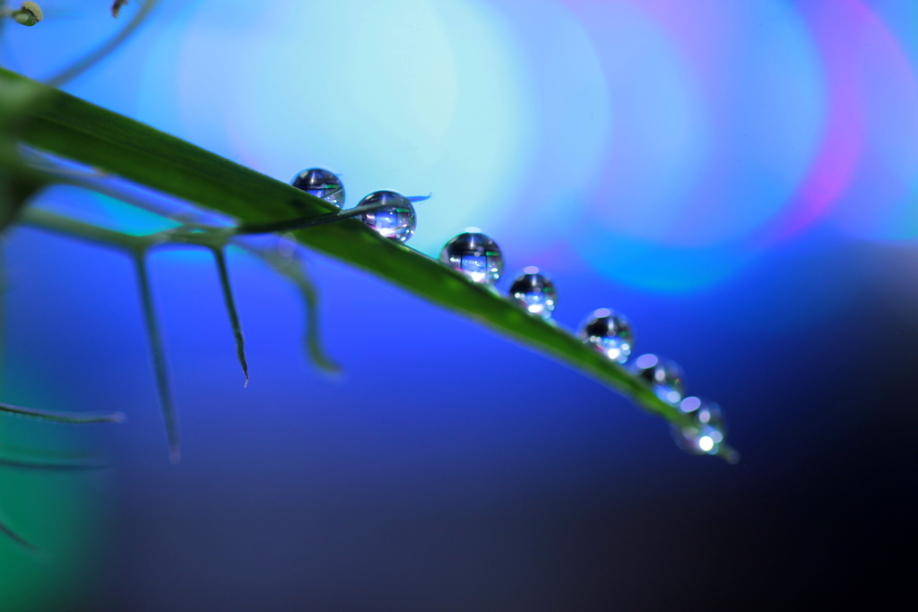 でいだらぼっちの角（未来は己でつくるものと・・・）