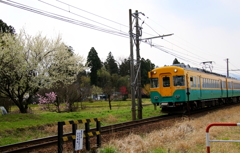 うん～♪　かぼちゃ君好きよ(^^)/