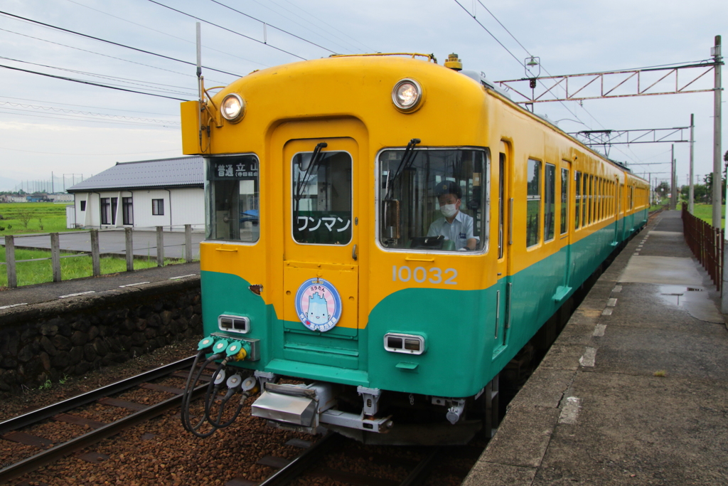 かぼちゃ君～♪