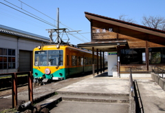 かぼちゃ君が到着～♪