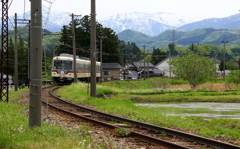 ダイコン君が来るよ～♪