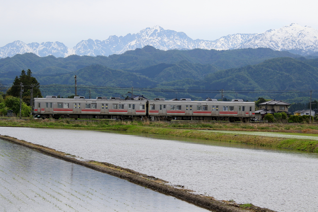 田園を走る、ステン君～♪