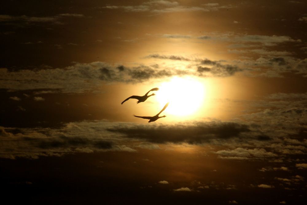 君といつまでも