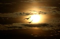 君といつまでも