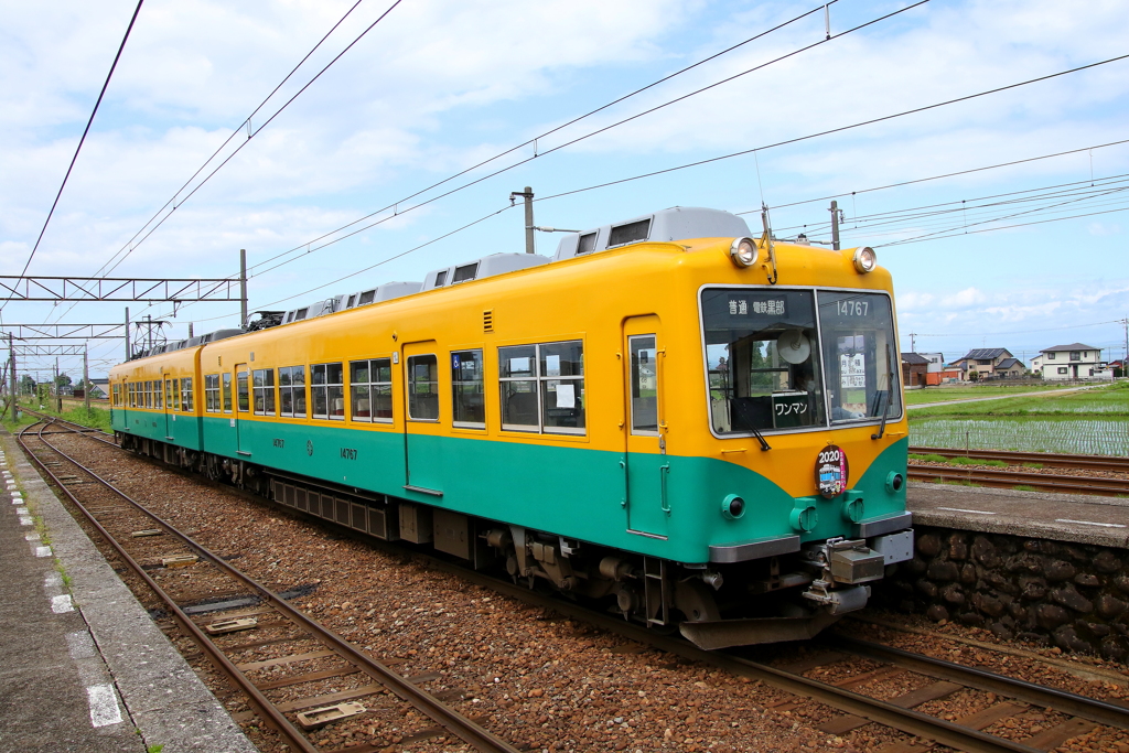 2020　かぼちゃ君～♪
