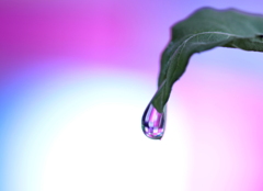 一瞬のファンタジー