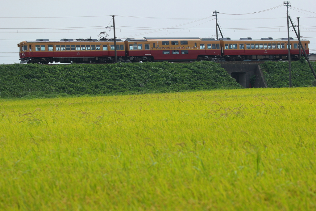 二階建て電車も通るよ(^▽^)/