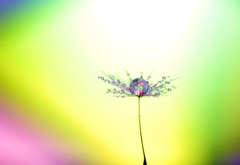 パステルなキラメキ