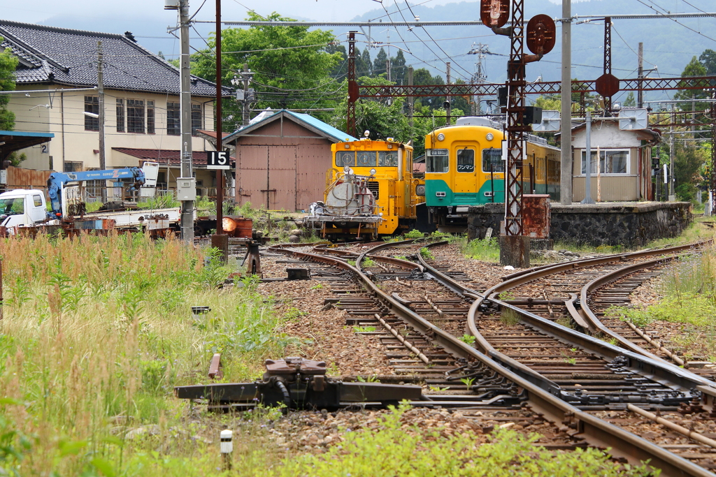 かぼちゃ君、待機・・・