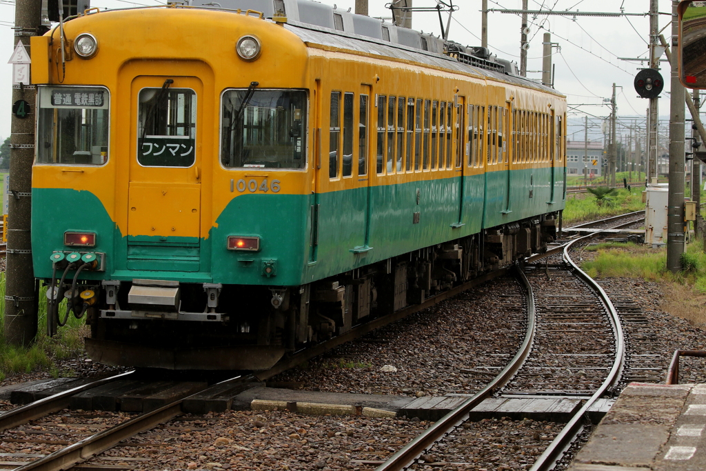 かぼちゃ君・・・