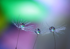 希望（たとえ違う空に飛び立とうと～♪）