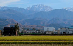 雪はもうそこまで・・・あいの風鉄道が走る～♪