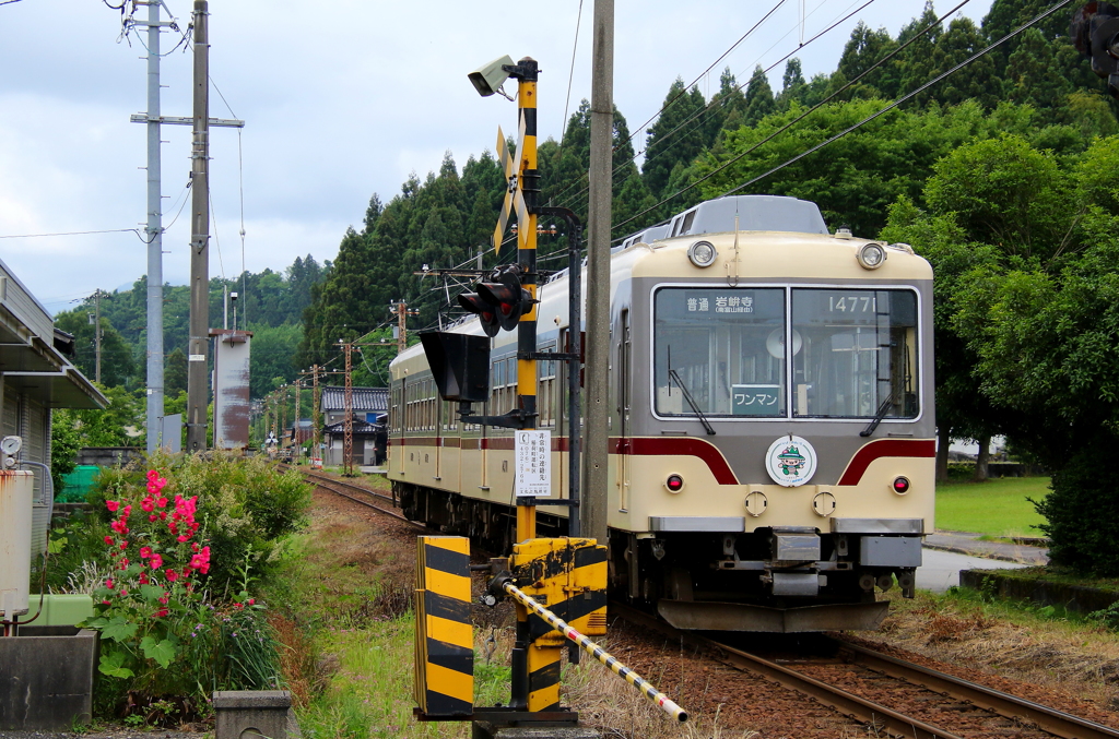 ダイコン電車君が通ります～♪