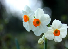 呼んでいる～♪