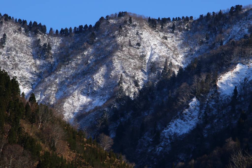 山