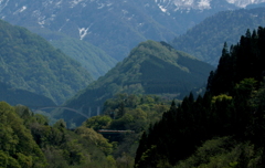 かぼちゃ電車君を追いかけて～♪