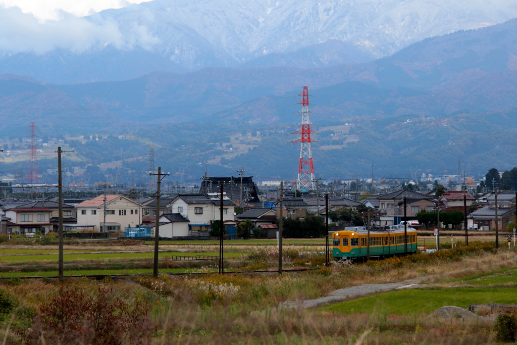 カボチャ君の旅は続く～♪