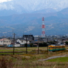 カボチャ君の旅は続く～♪