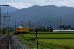 かぼちゃ電車君～会いに来たよ