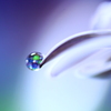 心海ＤＲＯＰＳ・・・一粒の希望