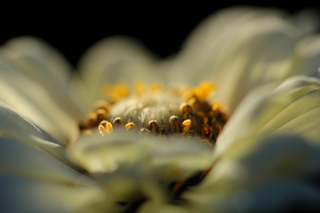 今ここへの気づき