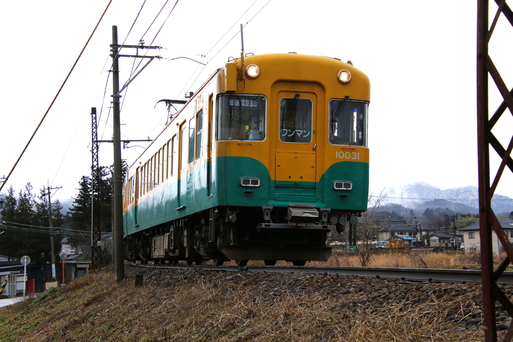 かぼちゃ君のお通りだぁ～♪