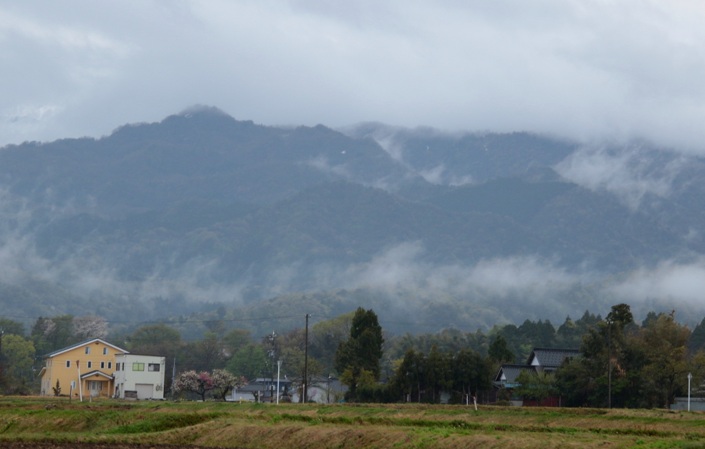 霞む