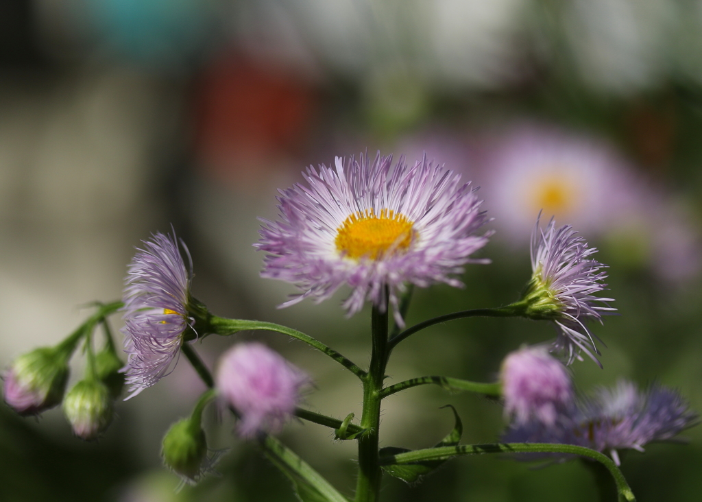 あたたかな光に誘われて