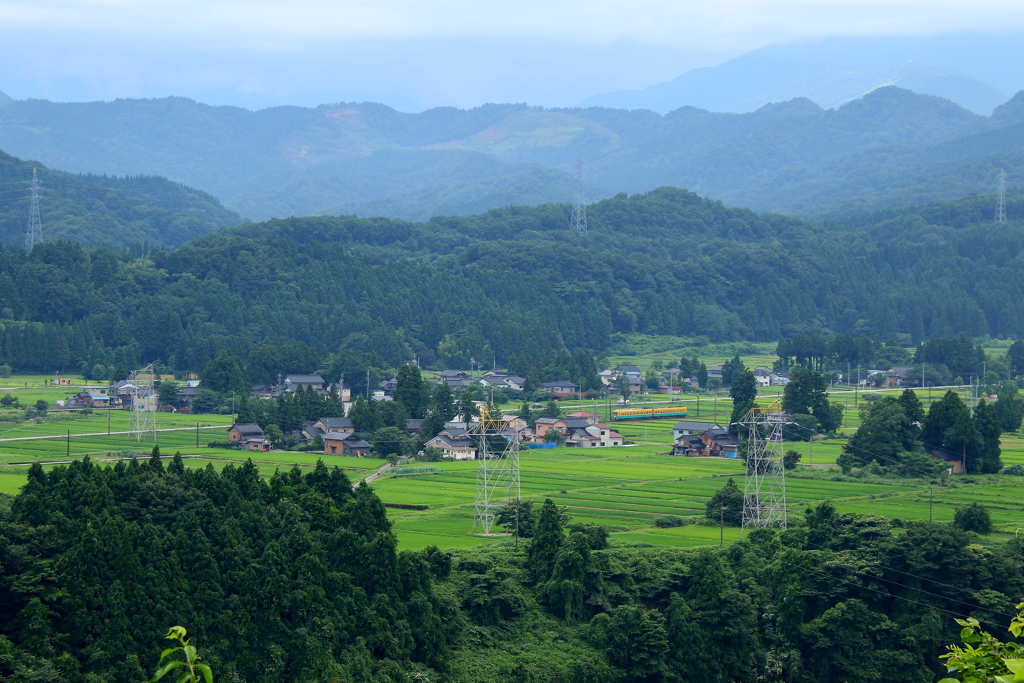 かぼちゃ君の旅は続く・・・2