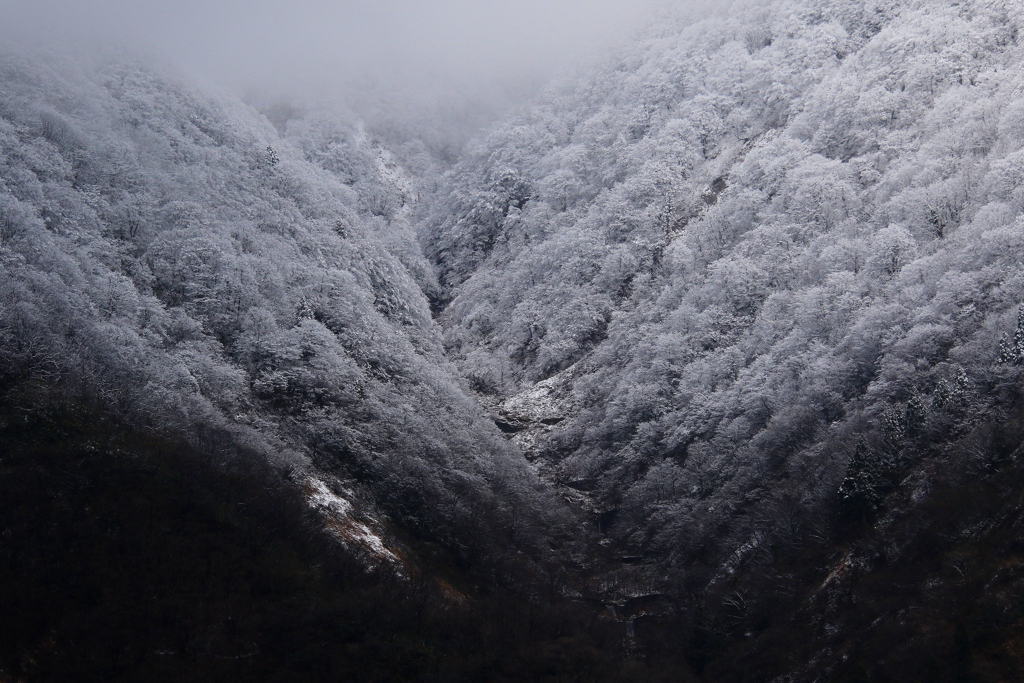新雪