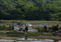 里山の春（水田）
