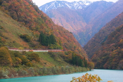 秘境をトロッコ電車が走る