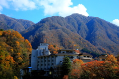 紅葉