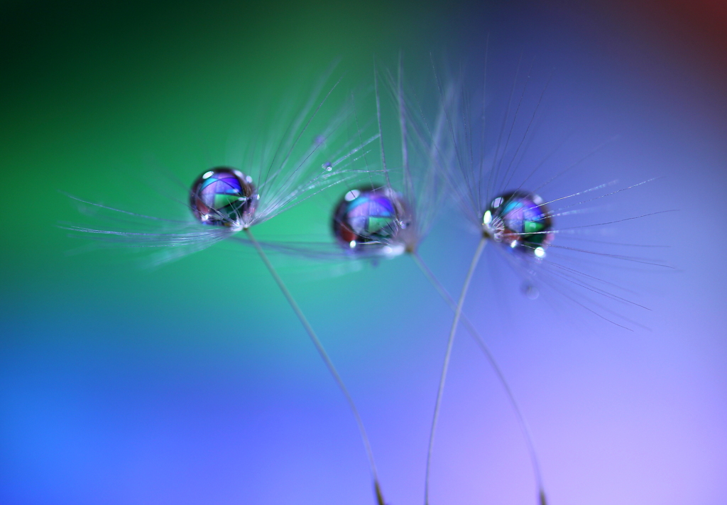 心海ＤＲＯＰｓ。。。