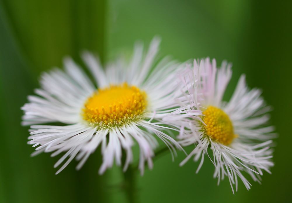 寄り添うふたり