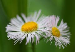 寄り添うふたり