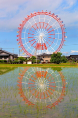 ダブル観覧車