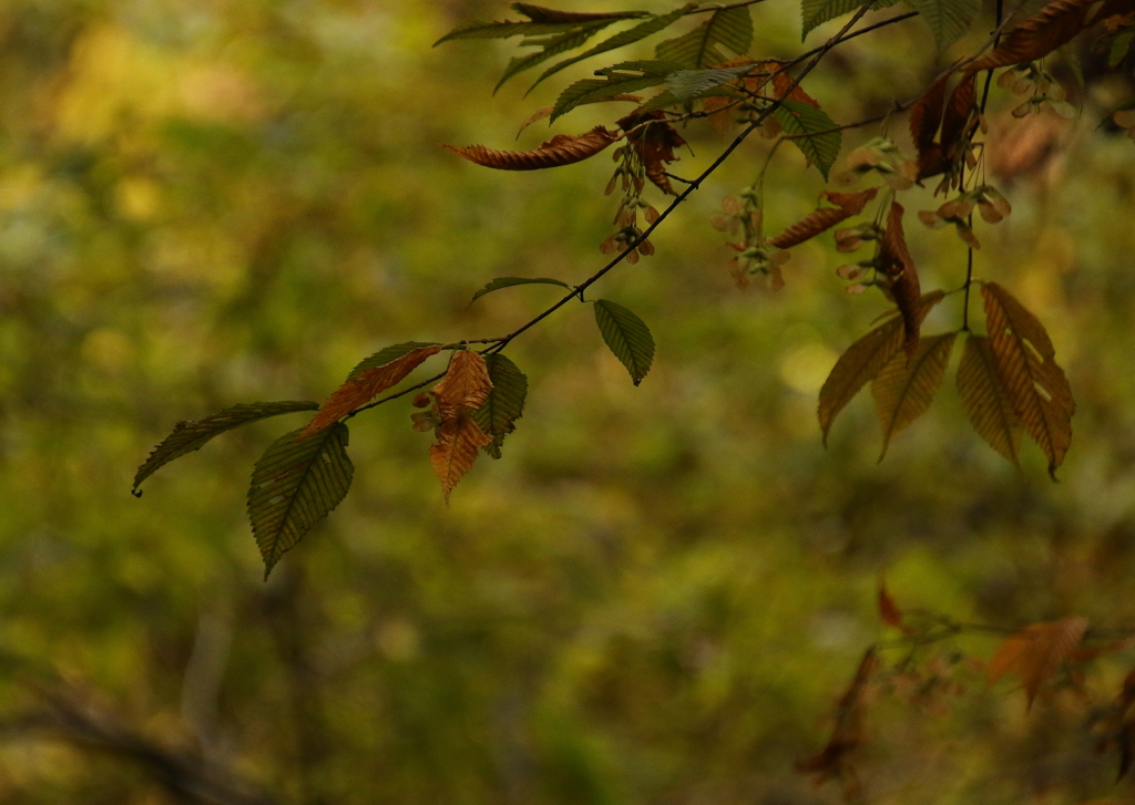 さりげなく時は過ぎてゆく・・