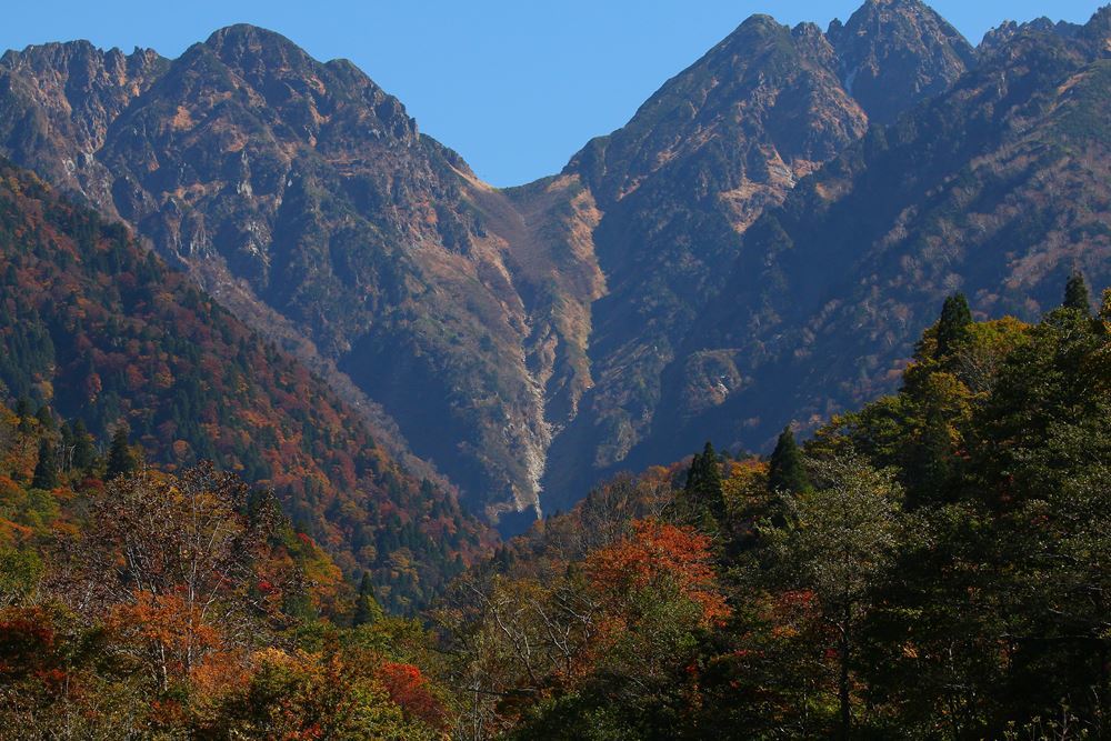 立山の秋