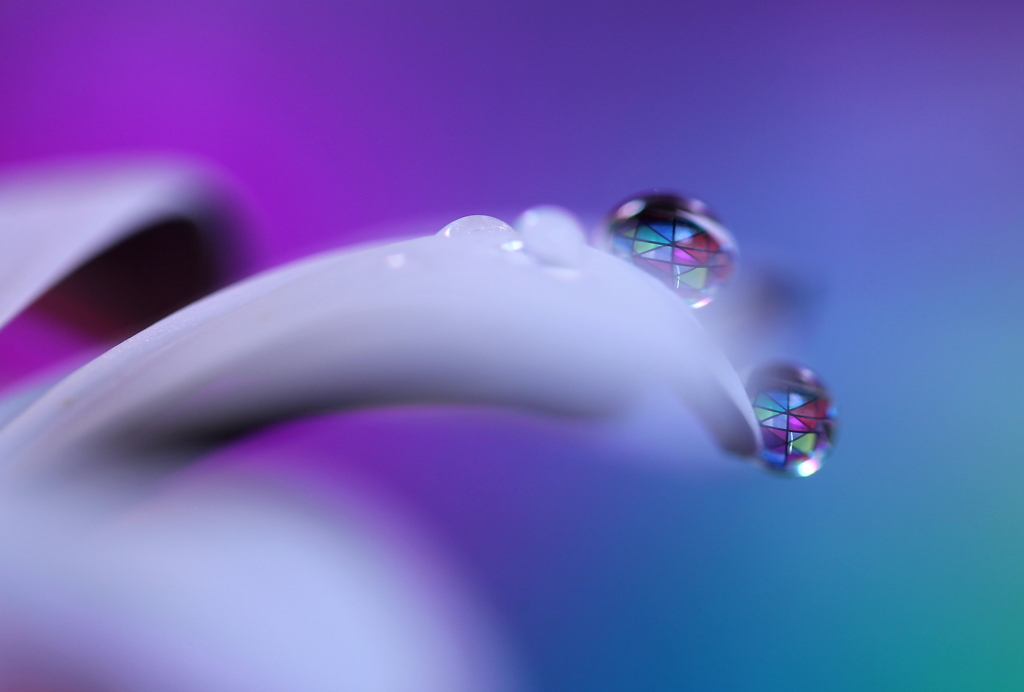 心海ＤＲＯＰＳ・・・ロックオン！