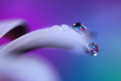 心海ＤＲＯＰＳ・・・ロックオン！