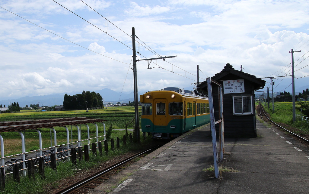 すれ違い・・・かぼちゃ君～♪