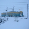 かぼちゃ君~♪　雪の中を走る～♪