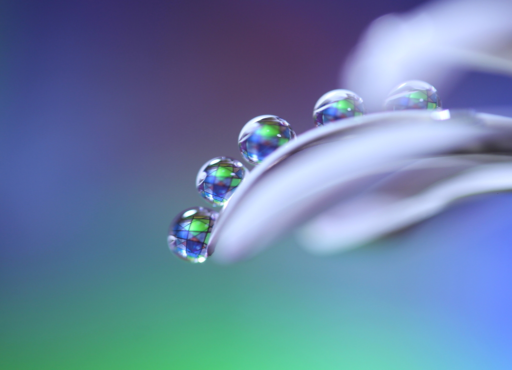 心海ＤＲＯＰＳ・・・奇跡という可能性