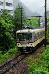 雨の日のダイコン君～♪