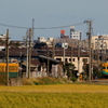 鉄子の楽しみ～♪