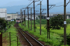 ステン君がやって来る～♪　迷わず真っすぐにね^^♪