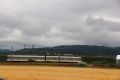 麦畑を通過中～♪